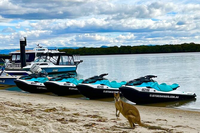 1.5 hr Jet Ski Safari tour to South Stradbroke Island! - Best for friends, families, and first-time riders