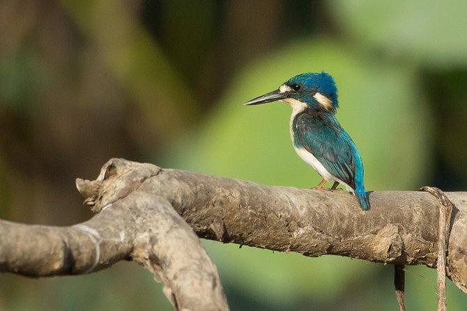 1 Day Corroboree Billabong Wetland Experience including 2.5 hour cruise + lunch - The essential details at a glance