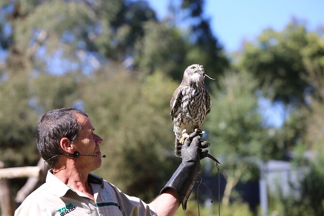 1 day Puffing Billy Steam Train and Wildlife Tour from Melbourne - The drive through the Yarra Valley