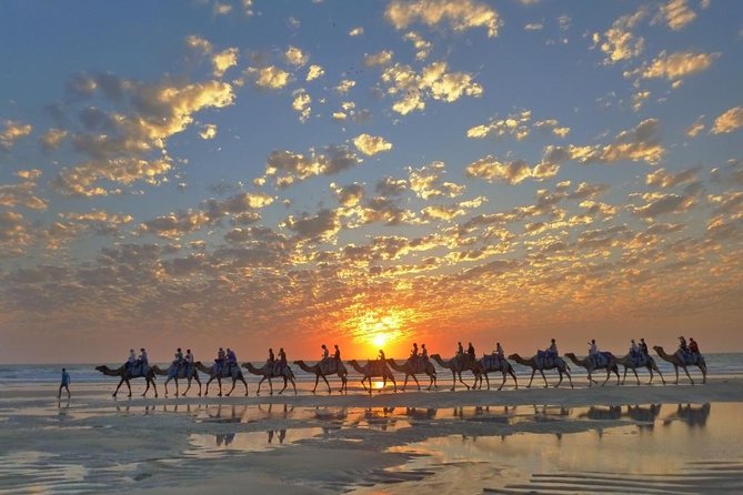 1 Hour Broome Sunset Camel Tour - The one-hour ride along Cable Beach