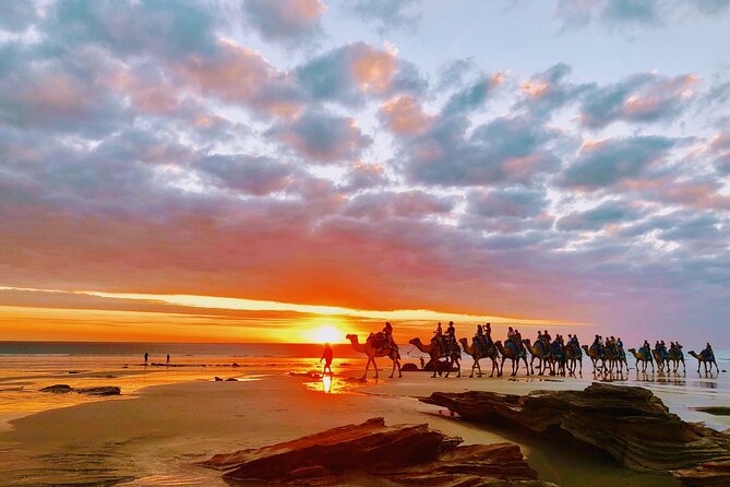 1 Hour Broome Sunset Camel Tour - Price and value at $125
