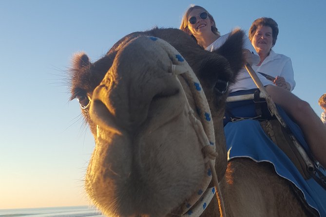 1 Hour Broome Sunset Camel Tour - Who will enjoy this Broome experience