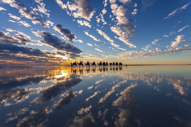 1 Hour Broome Sunset Camel Tour - Meeting the camels and getting settled