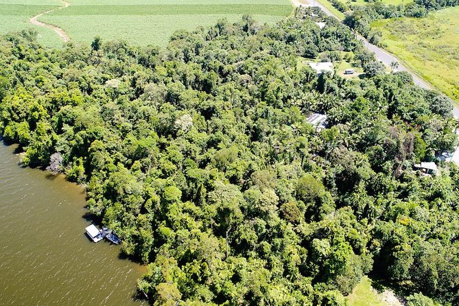 1-Hour Daintree River wildlife cruise - Choosing morning, lunch, or afternoon