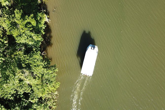 1-Hour Daintree River wildlife cruise - One hour on the Daintree River