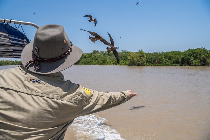 1 Hour Jumping Crocodile Cruise on the Adelaide River - Key points before you book