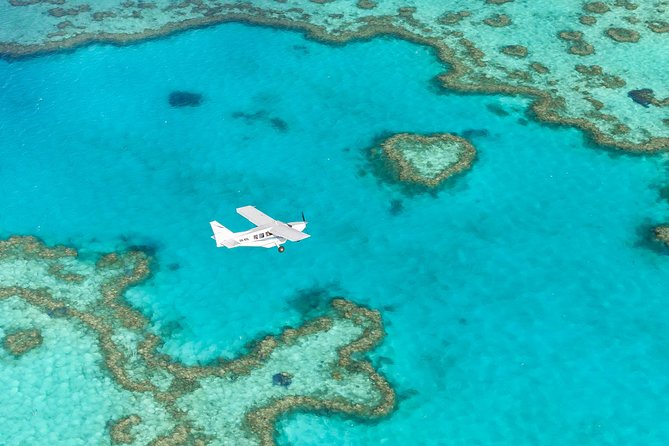 1hour Scenic Flight Heart Reef, Whitehaven Beach, Hill Inlet, GBR - Getting to Whitsunday Airport from Airlie Beach