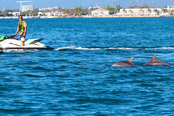 1hr Jet Ski Safari - From Main Beach to the Broadwater
