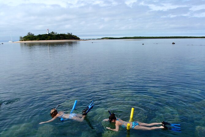 2 1/4 hr Low Isles Reef Sprinter Snorkeling Tour-No Island Access - A 15-minute speedboat run from Port Douglas