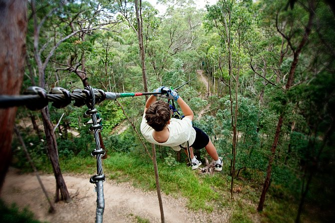 2.5 hr Jet Ski Safaris tour - Ultimate Adventure + island stop - Mangroves, bends, and the fast sections