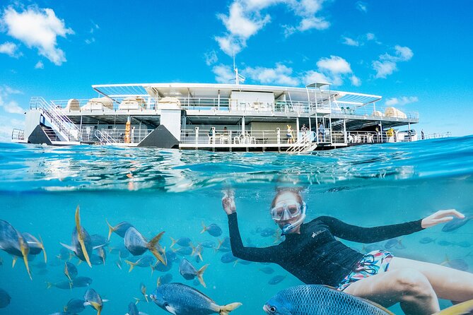 2-Day Great Barrier Reef: Reefsleep Experience - Day one activities: snorkel, watch, and add extras