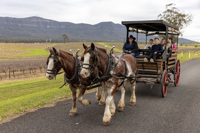 3- Hour Wine and Harvest the Hunter Horse Tour in Pokolbin - Key points to know before booking