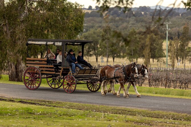 3- Hour Wine and Harvest the Hunter Horse Tour in Pokolbin - Why the carriage changes the Hunter Valley experience