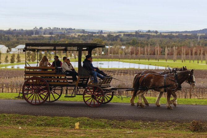 3- Hour Wine and Harvest the Hunter Horse Tour in Pokolbin - Is $106.87 fair for three hours?