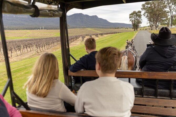 3- Hour Wine and Harvest the Hunter Horse Tour in Pokolbin - The wine stops: the strongest part for many visitors
