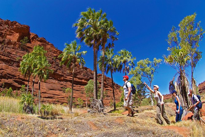 3 night Uluru, Kata Tjuta and Kings Canyon Camping Adventure - Day three: the scale of Kings Canyon
