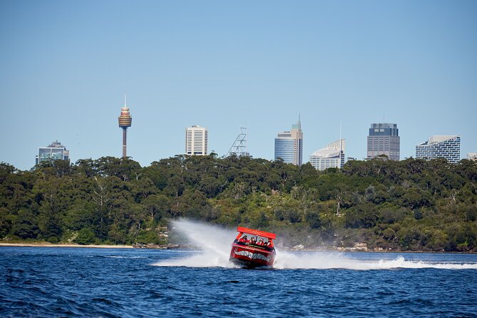 30-Minute Sydney Harbour Jet Boat Thrill Ride - How wet will you get?