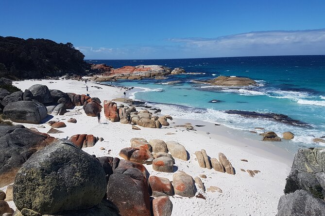4 Day Wild Tasmania Tour / Wildlife, Nature, Hiking / Inc. Accom - Why this four-day Tasmania loop works