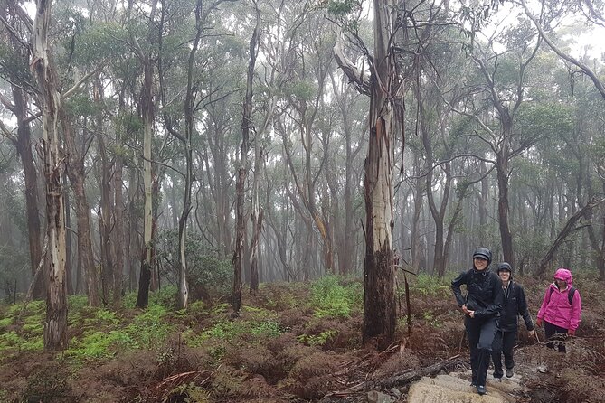 4 Day Wild Tasmania Tour / Wildlife, Nature, Hiking / Inc. Accom - Accommodation and comfort on the road