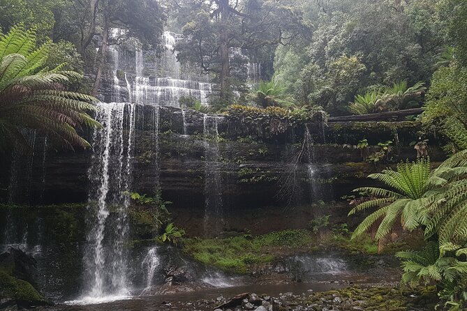 4 Day Wild Tasmania Tour / Wildlife, Nature, Hiking / Inc. Accom - What the $713.66 price really covers