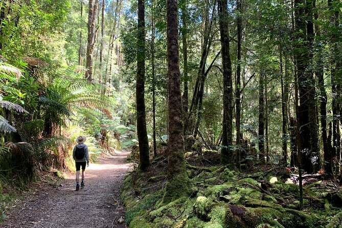 5-Day Best of Tasmania Tour from Hobart - What the $728.58 price really covers