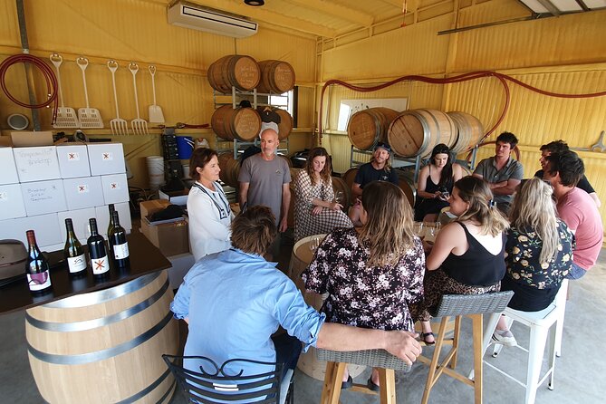 7- 8 Hour StelaVino Guided Wine Tours From Hobart, Tasmania - Four cellar doors and the value of personal contact