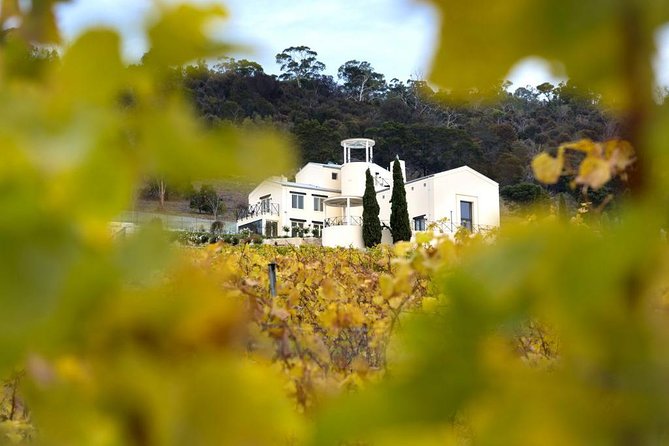 7- 8 Hour StelaVino Guided Wine Tours From Hobart, Tasmania - Meeting Steliano at central Hobart