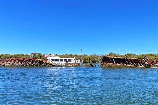 90 Minute Port River Dolphin & Ships Graveyard Cruise - Key points before you book