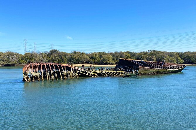 90 Minute Port River Dolphin & Ships Graveyard Cruise - Who will enjoy this cruise most?