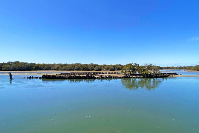 90 Minute Port River Dolphin & Ships Graveyard Cruise - Searching for dolphins in the Adelaide Dolphin Sanctuary