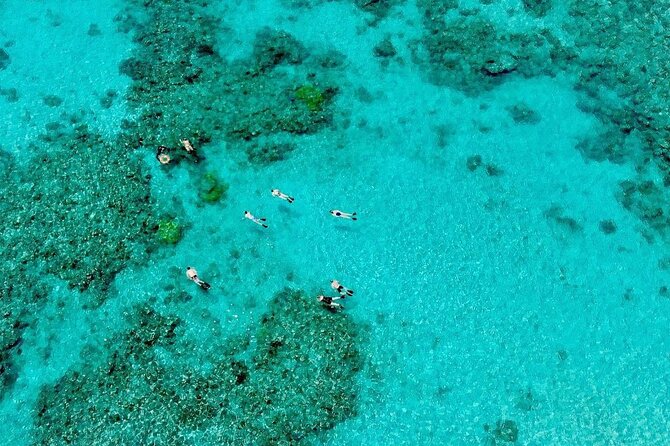 ABC Reef Safaris - Second reef area and time in the water