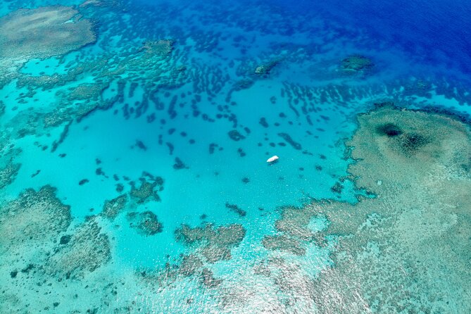 ABC Reef Safaris - Equipment, safety, and comfort on board
