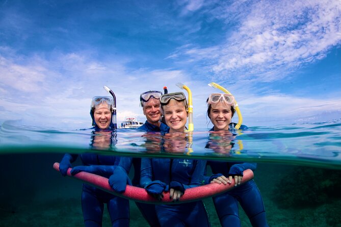 ABC Reef Safaris - Lunch, pastries, and the pause between swims
