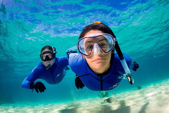 ABC Reef Safaris - Is $458.32 good value?