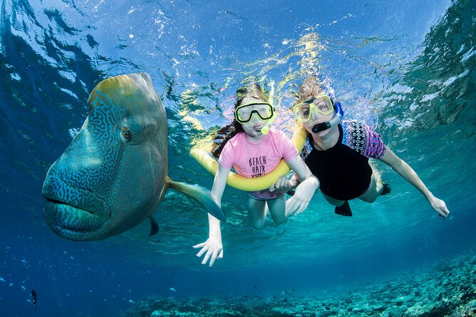ABC Reef Safaris - First reef stop: guided snorkeling with a marine biologist