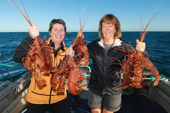 Abrolhos Islands 5 Day Cruise - Why the Abrolhos Islands feel different