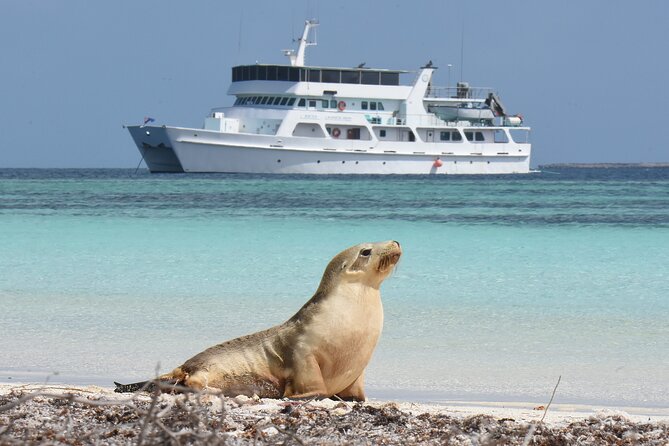 Abrolhos Islands 5 Day Cruise - Days 2 to 4: A changing menu of island activities
