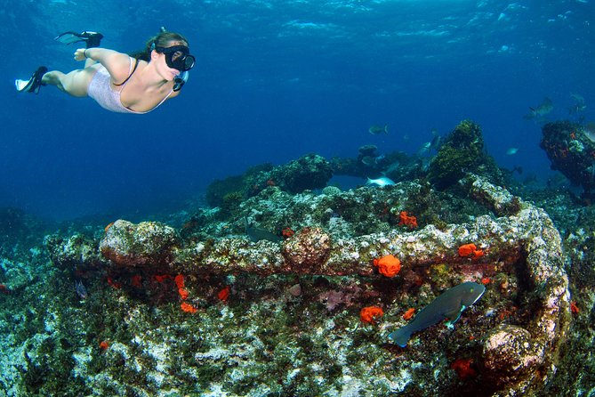 Abrolhos Islands 5 Day Cruise - Which departure months make sense?