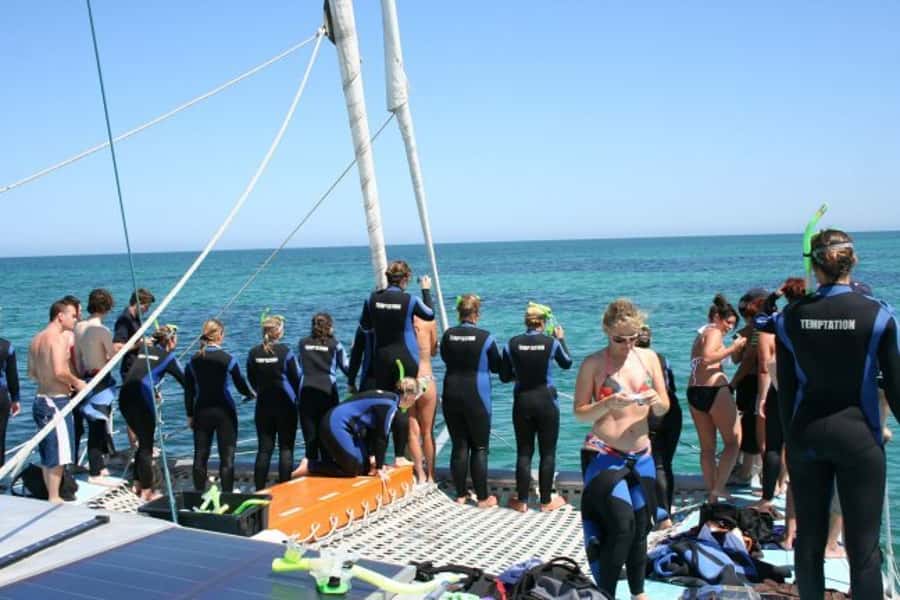 Adelaide: 4-Hour Swimming with Dolphins Experience - Who will enjoy this most?