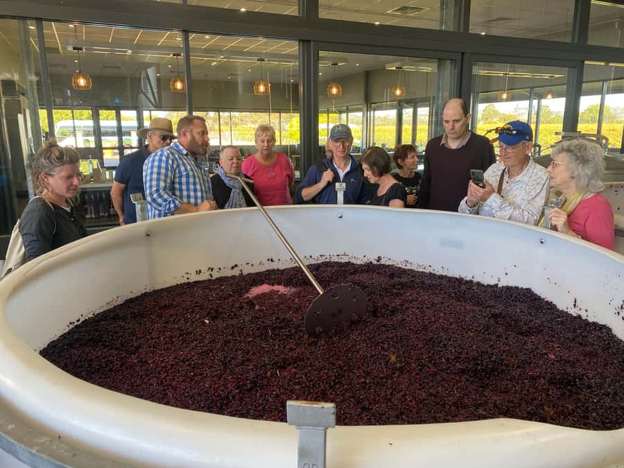 Adelaide: Barossa Premium Wine Tasting tour & Winery Lunch - Menglers Hill delivers the big Barossa view