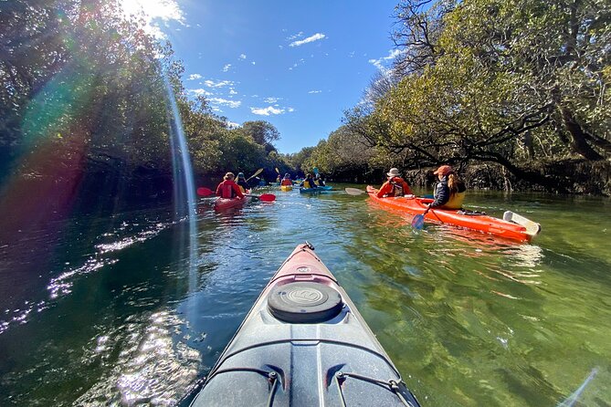 Adelaide Dolphin Sanctuary and Ships Graveyard Kayak Tour - Paddling through the Adelaide Dolphin Sanctuary