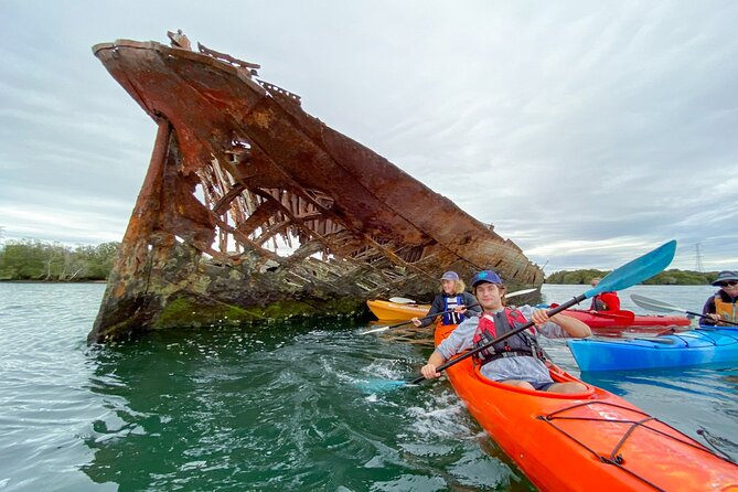 Adelaide Dolphin Sanctuary and Ships Graveyard Kayak Tour - Guides make the difference