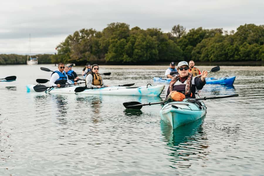 Adelaide: Dolphin Sanctuary Eco Kayaking Tour - Who should book this Port Adelaide experience?