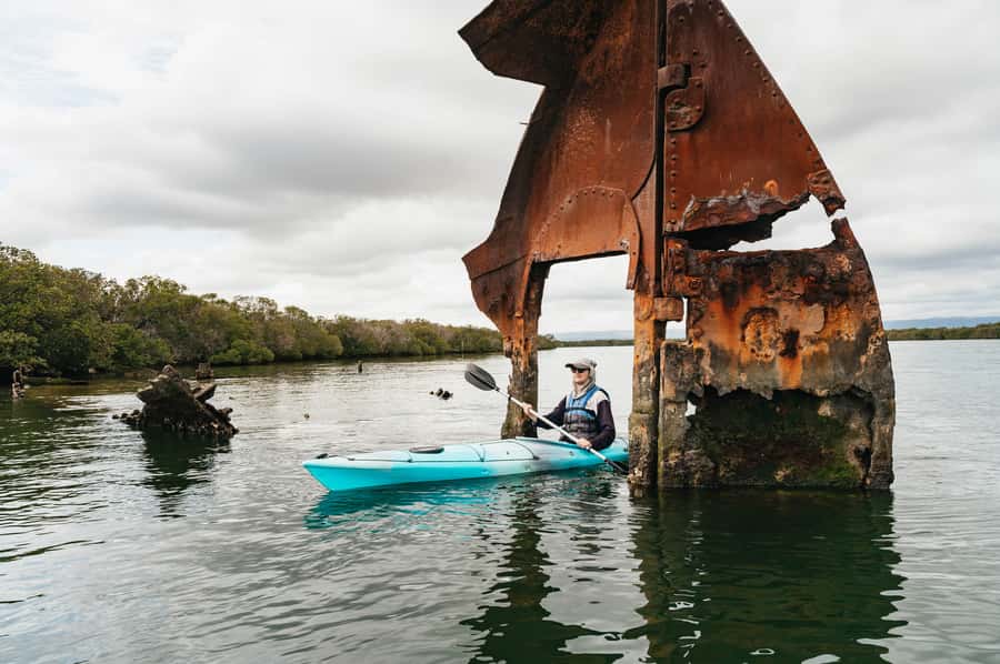 Adelaide: Dolphin Sanctuary Eco Kayaking Tour - Port Adelaide to the Angas Inlet launch point