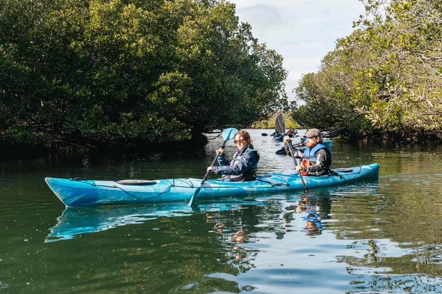 Adelaide: Dolphin Sanctuary Eco Kayaking Tour - Shipwrecks, birds, and the sanctuary’s human past