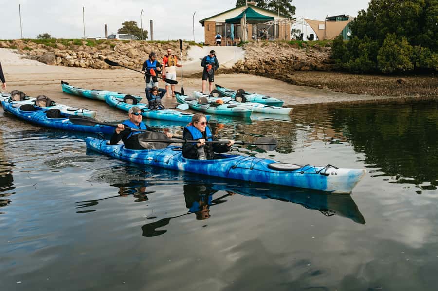 Adelaide: Dolphin Sanctuary Eco Kayaking Tour - A relaxed three-hour pace, with a few practical limits