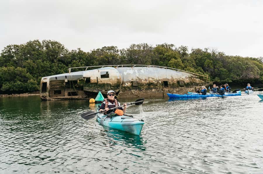 Adelaide: Dolphin Sanctuary Eco Kayaking Tour - The guides make the difference