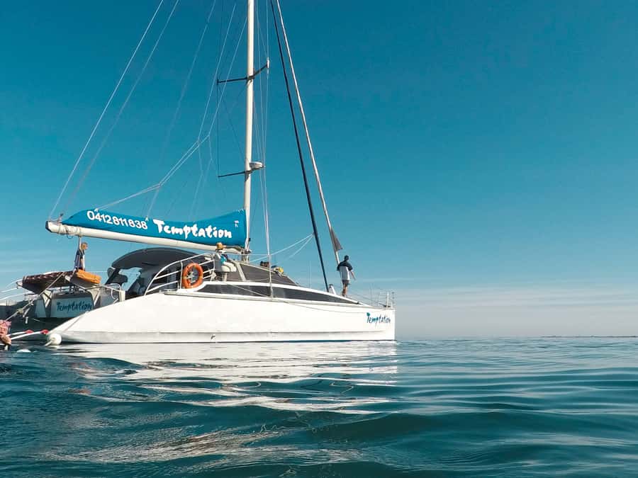 Adelaide: Glenelg Twilight Catamaran Cruise with Drink - What the 90-minute cruise feels like