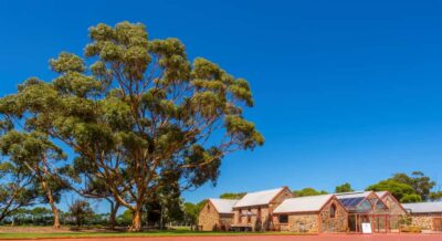 Half-day McLaren Vale & Glenelg Wine Tasting Tour