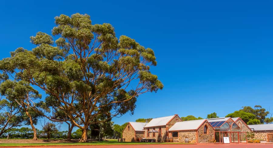 Adelaide: Half-day McLaren Vale & Glenelg Wine Tasting Tour - Haselgrove Wines and the first 75 minutes